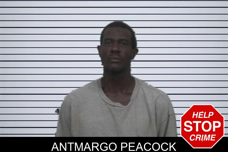 Antmargo Peacock mugshot – Sumter County , Georgia Antmargo Peacock mugshot