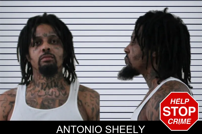 Antonio Sheely mugshot