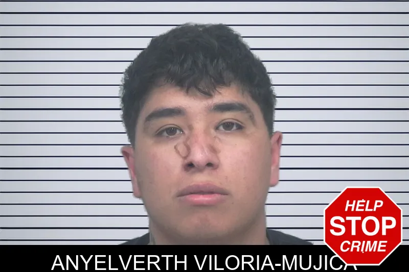 Anyelverth Viloria-Mujica mugshot – Gwinnett County , Georgia Anyelverth Viloria-Mujica mugshot