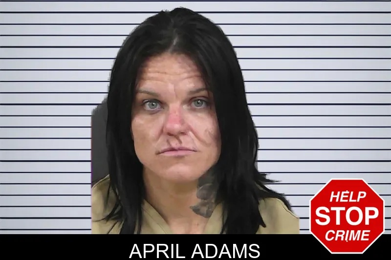 April Adams mugshot