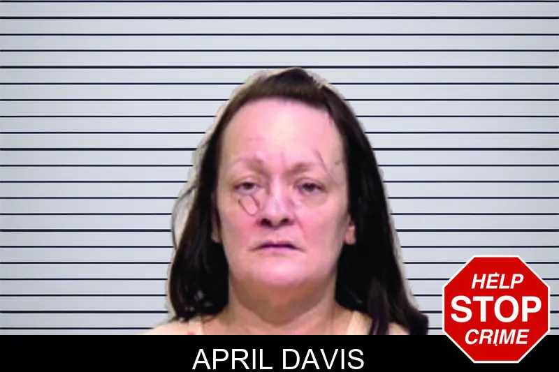 April Davis mugshot