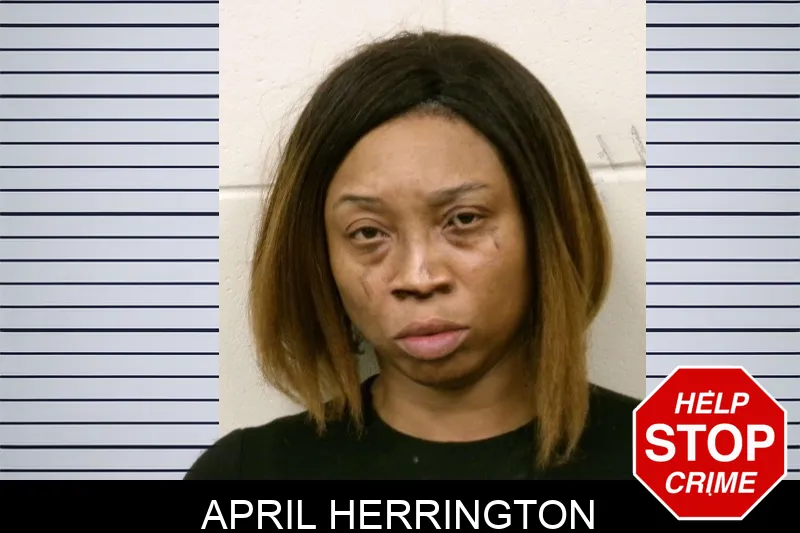 April Herrington mugshot