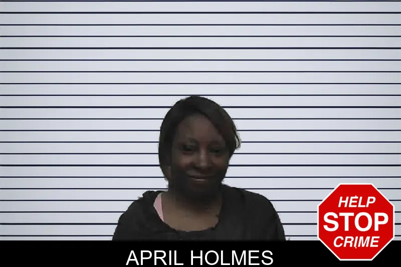 April Holmes mugshot – Pike County , Georgia April Holmes mugshot