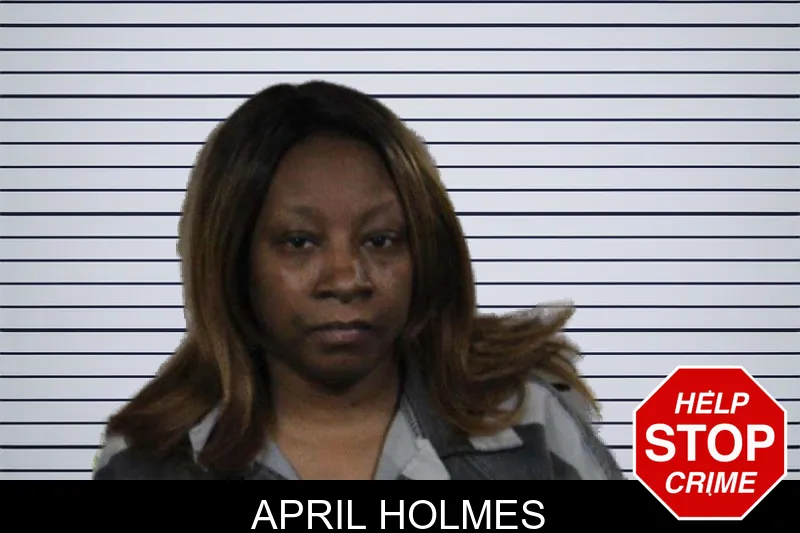 April Holmes mugshot