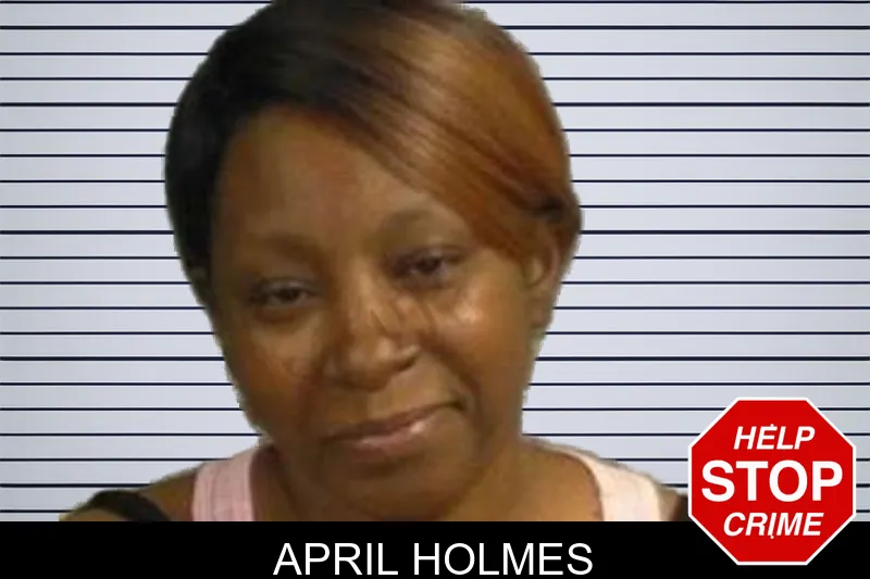 April Holmes mugshot
