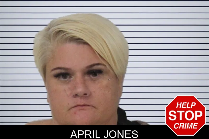April Jones mugshot