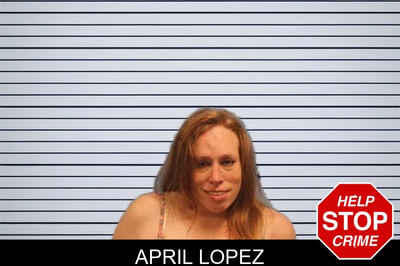 April Lopez mugshot