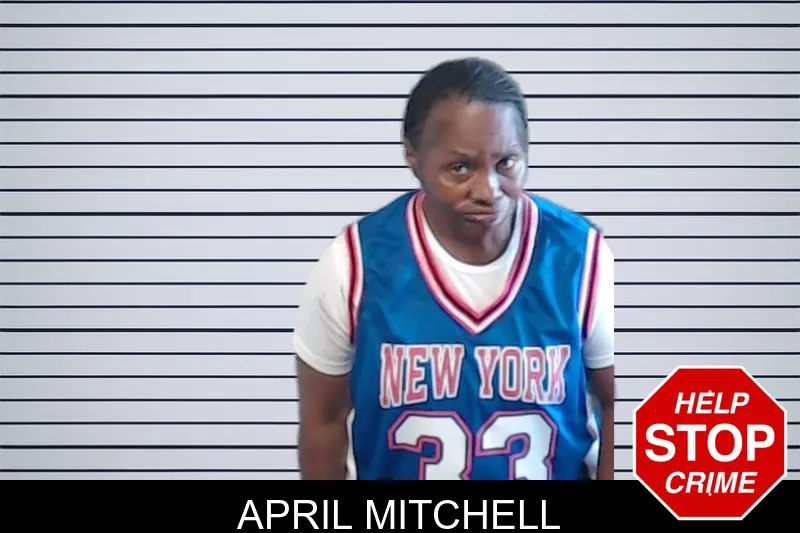 April Mitchell mugshot