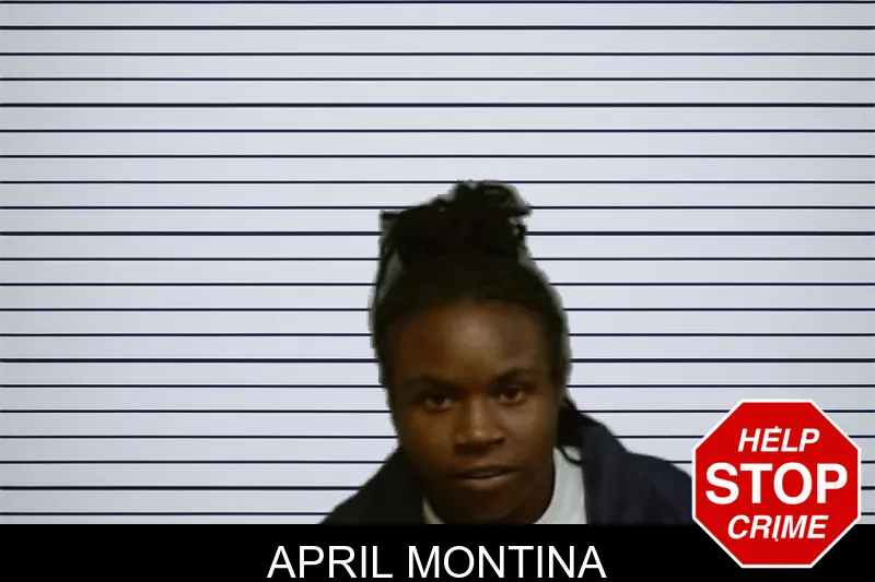 April Montina mugshot