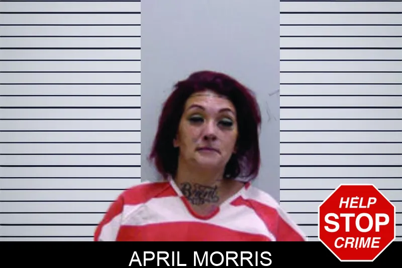 April Morris mugshot
