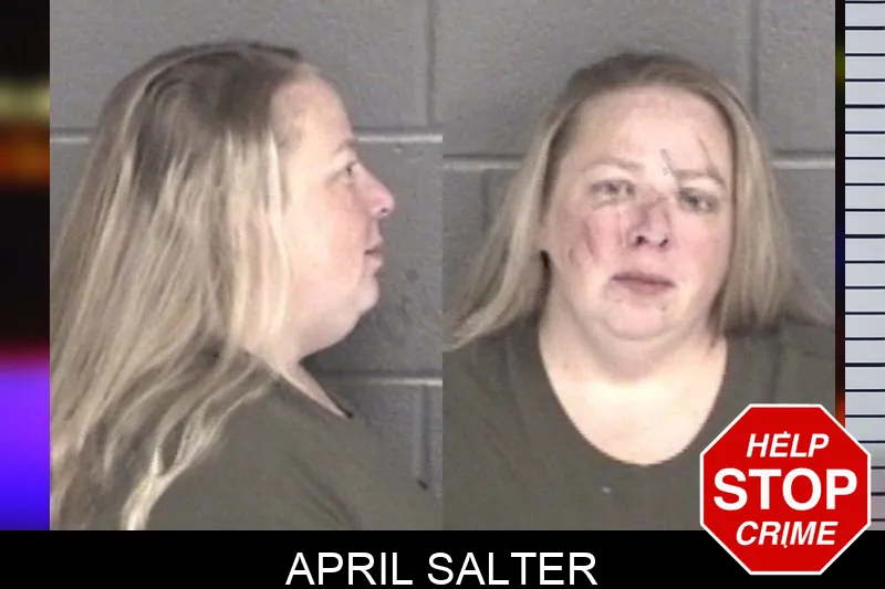 April Salter mugshot – Barrow County , Georgia April Salter mugshot