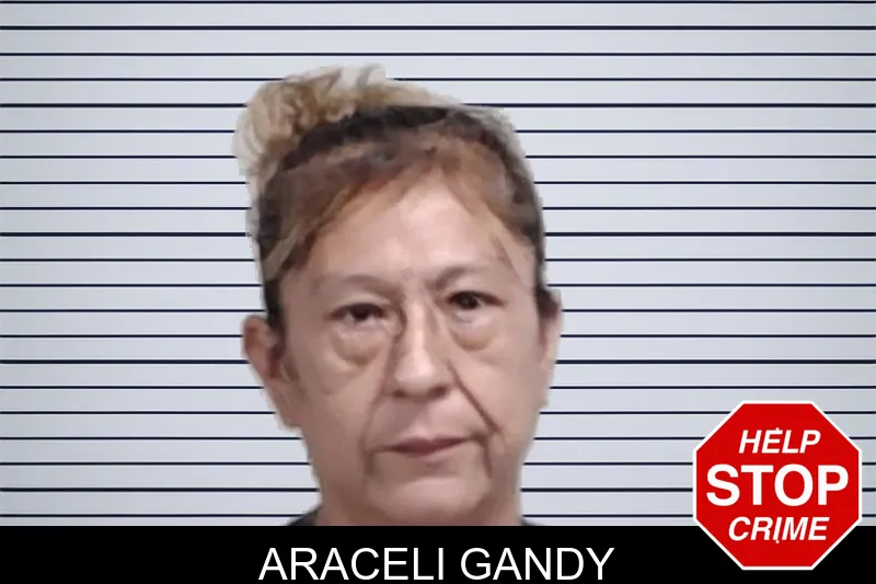 Araceli Gandy mugshot – Lowndes County , Georgia Araceli Gandy mugshot