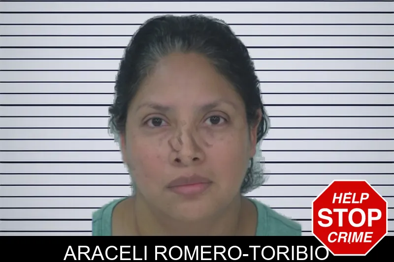 Araceli Romero-Toribio mugshot – Fayette County , Georgia Araceli Romero-Toribio mugshot