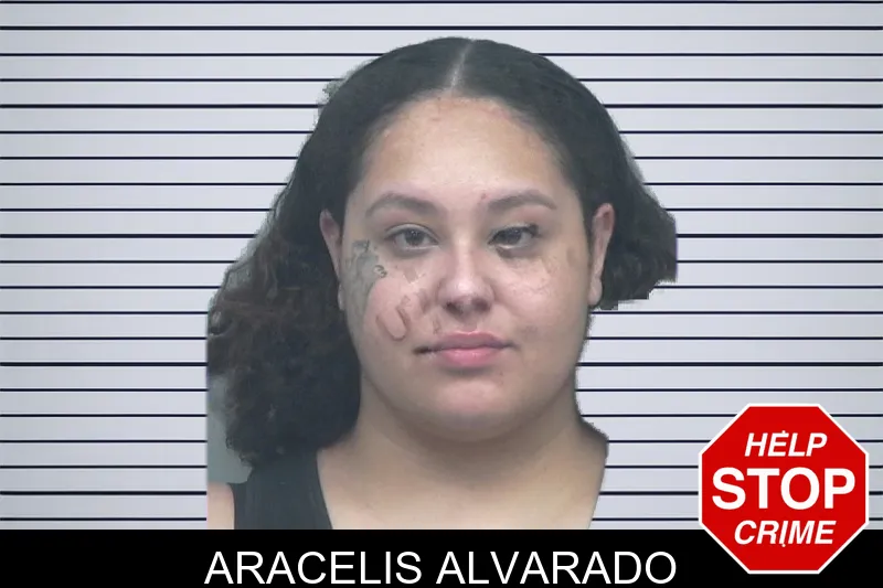 Aracelis Alvarado mugshot