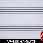 Aramis Hamilton mugshot