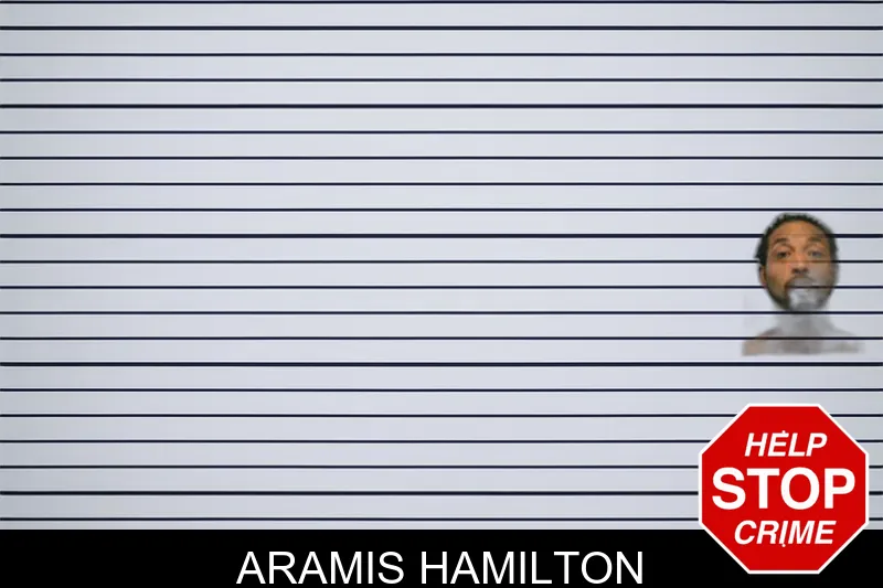 Aramis Hamilton mugshot – Ware County , Georgia Aramis Hamilton mugshot
