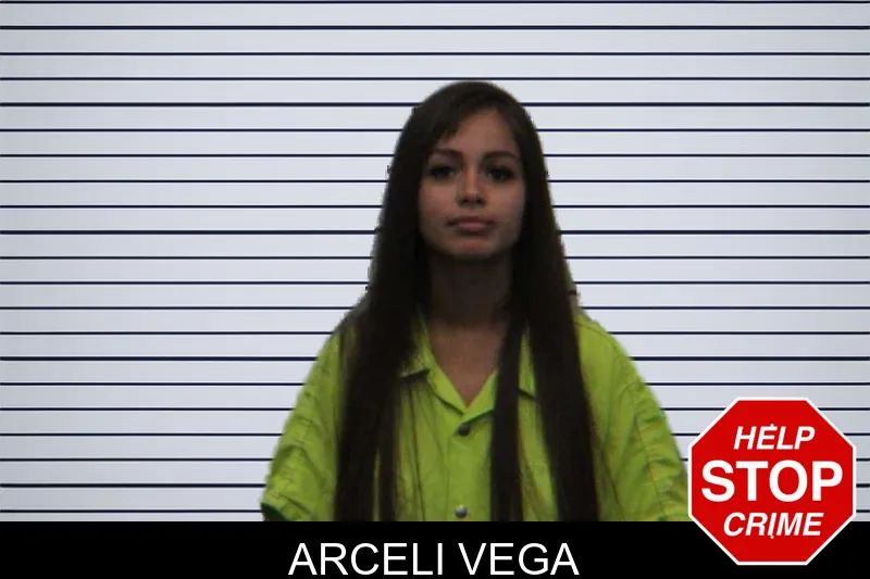 Arceli Vega mugshot