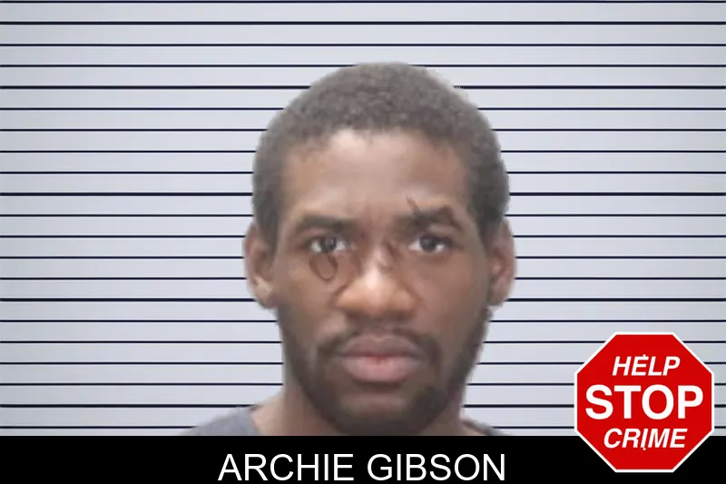 Archie Gibson mugshot