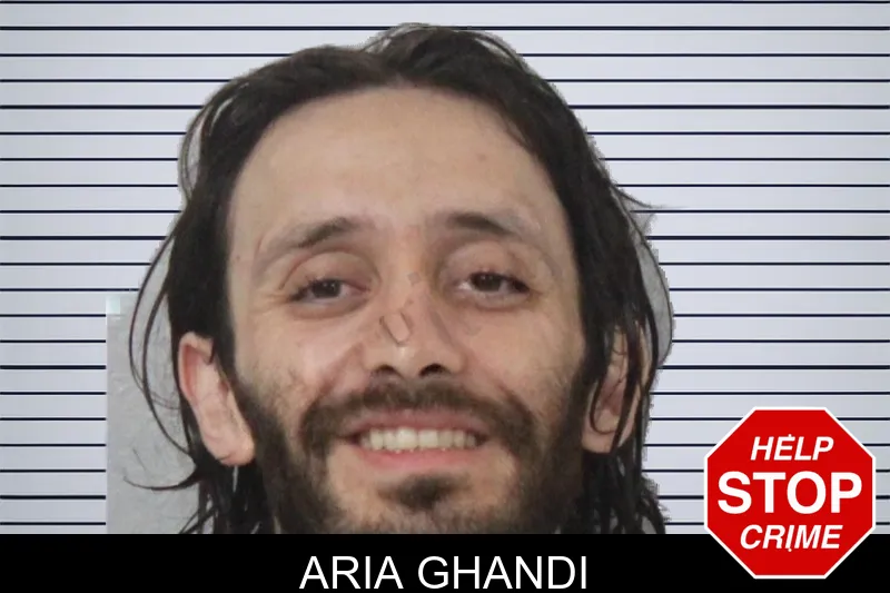 Aria Ghandi mugshot