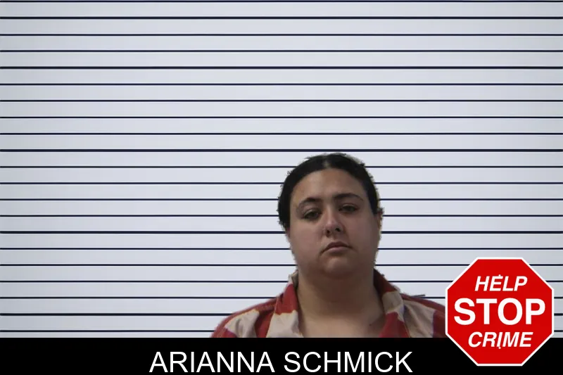 Arianna Schmick mugshot – Stephens County , Georgia Arianna Schmick mugshot