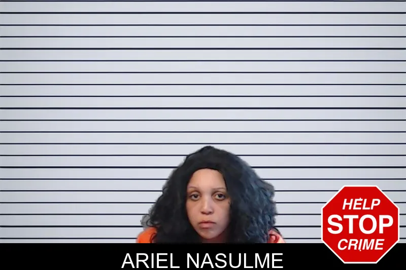 Ariel Nasulme mugshot
