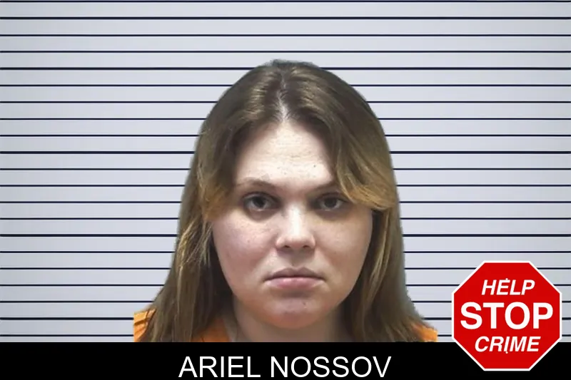 Ariel Nossov mugshot