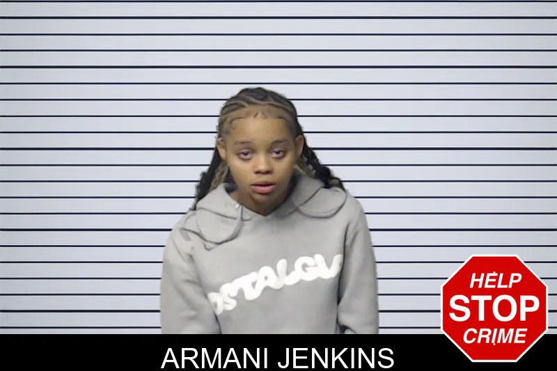 Armani Jenkins mugshot