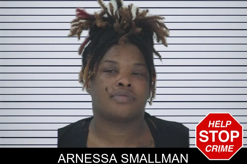 Arnessa Smallman mugshot – Fayette County , Georgia Arnessa Smallman mugshot