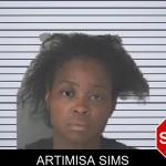 Artimisa Sims mugshot
