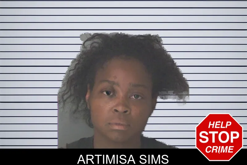 Artimisa Sims mugshot