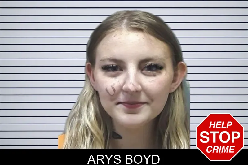 Arys Boyd mugshot