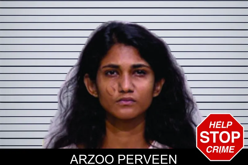 Arzoo Perveen mugshot – Bartow County , Georgia Arzoo Perveen mugshot