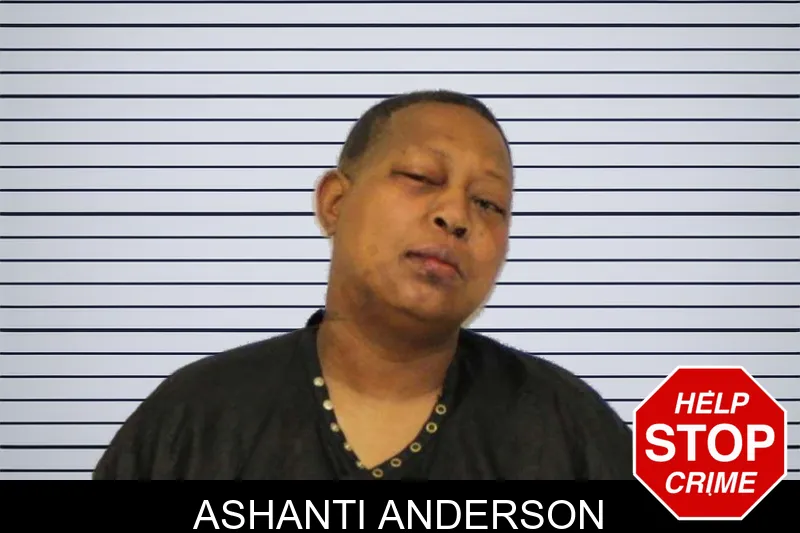 Ashanti Anderson mugshot