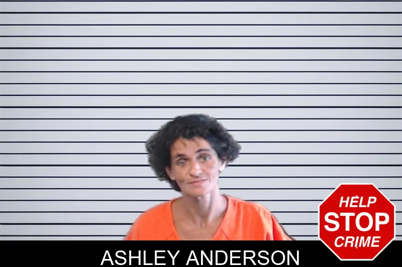 Ashley Anderson mugshot