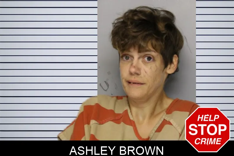 Ashley Brown mugshot