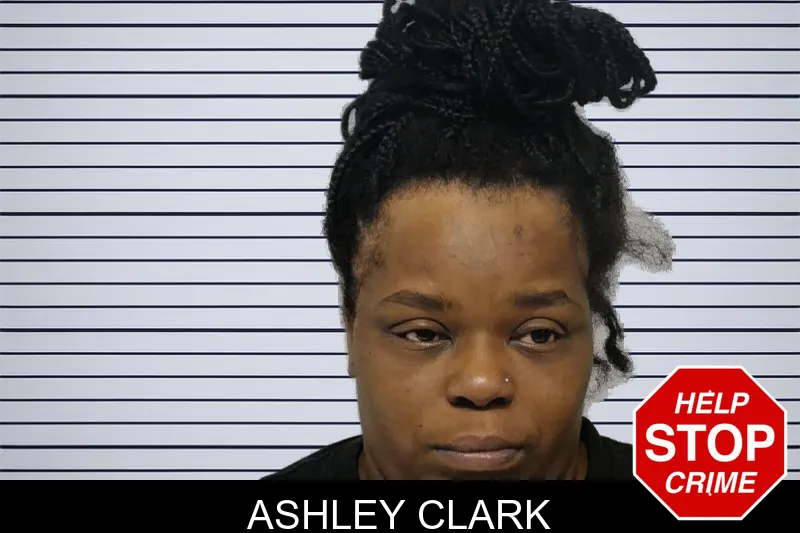 Ashley Clark mugshot – Bibb County , Georgia Ashley Clark mugshot