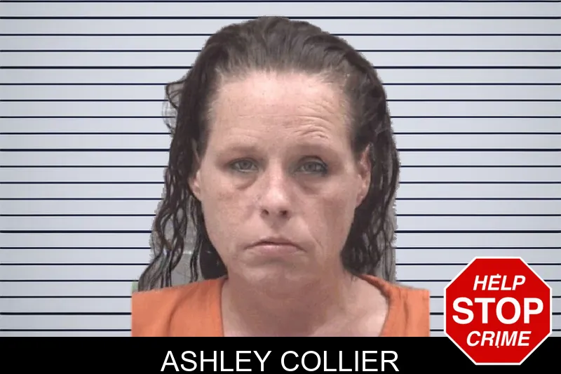 Ashley Collier mugshot