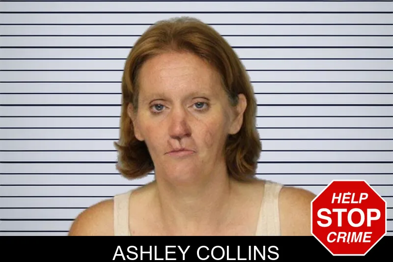 Ashley Collins mugshot – Hall County , Georgia Ashley Collins mugshot