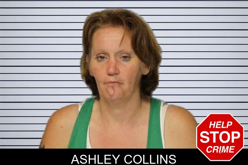 Ashley Collins mugshot