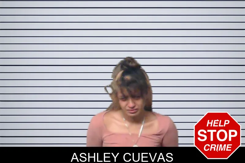 Ashley Cuevas mugshot – DeKalb County , Georgia Ashley Cuevas mugshot