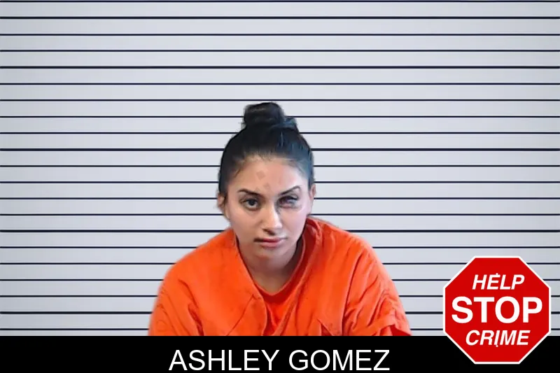Ashley Gomez mugshot