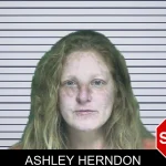 Ashley Herndon mugshot