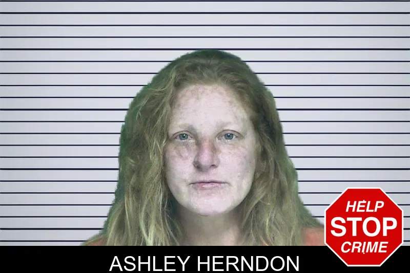 Ashley Herndon mugshot