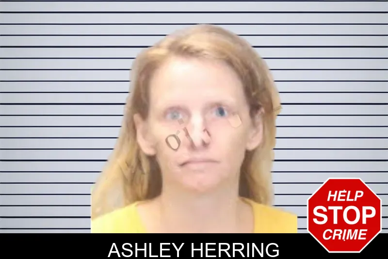 Ashley Herring mugshot