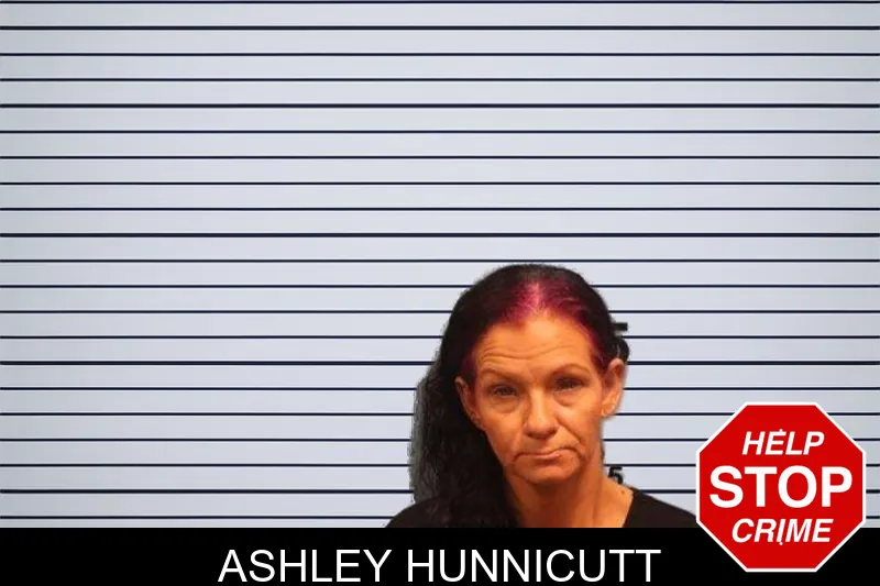 Ashley Hunnicutt mugshot