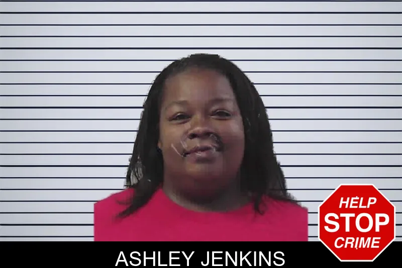 Ashley Jenkins mugshot