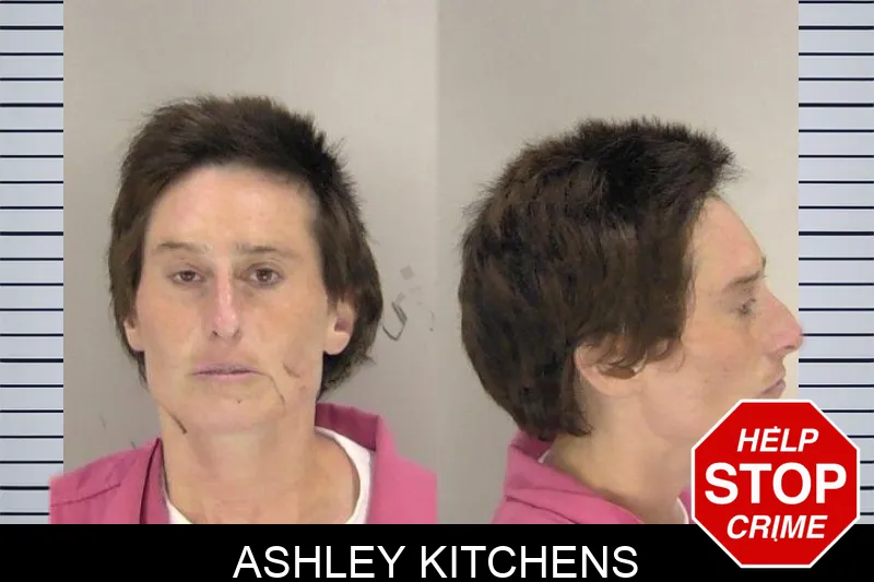Ashley Kitchens mugshot