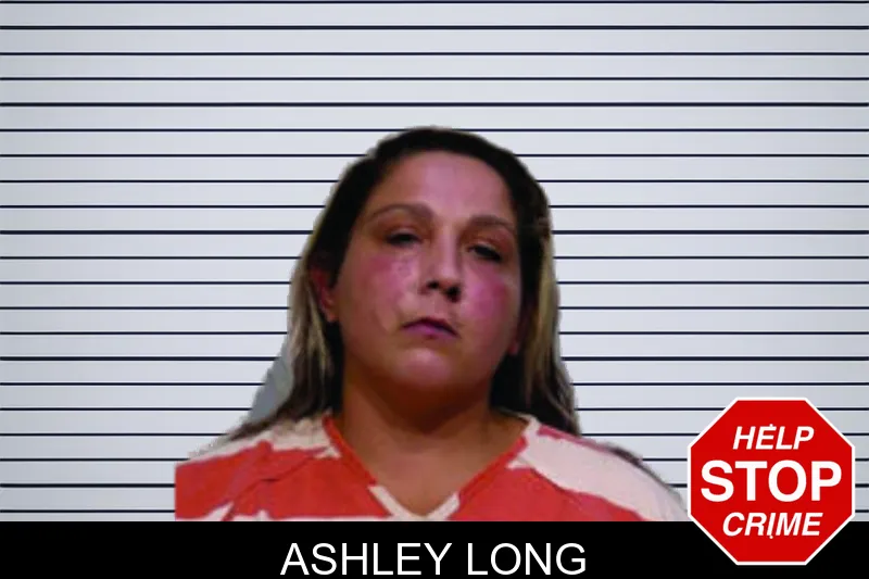 Ashley Long mugshot
