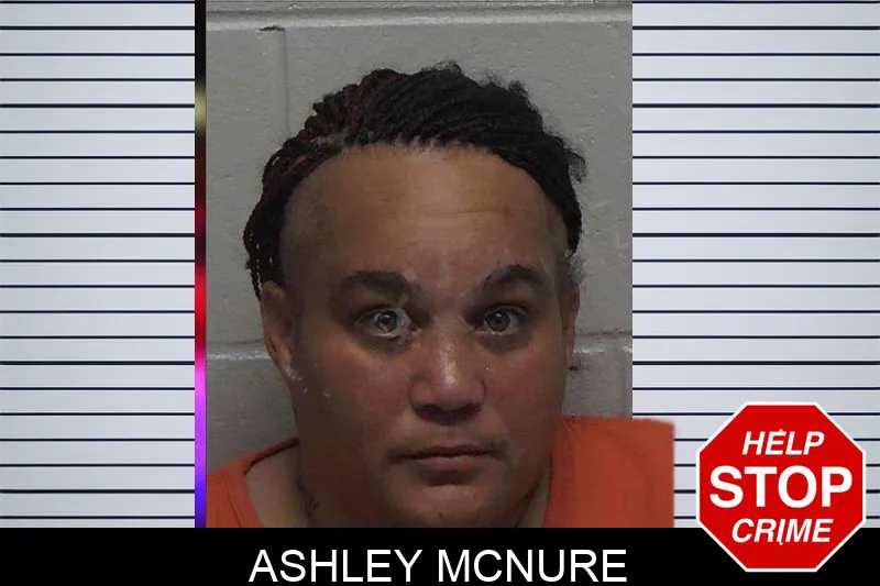 Ashley McNure mugshot