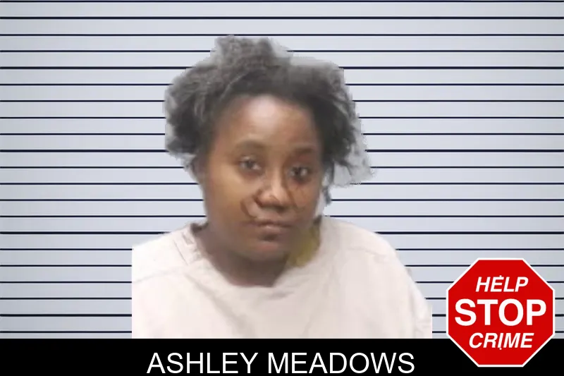 Ashley Meadows mugshot